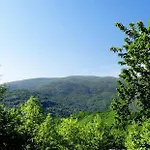 Vrionis